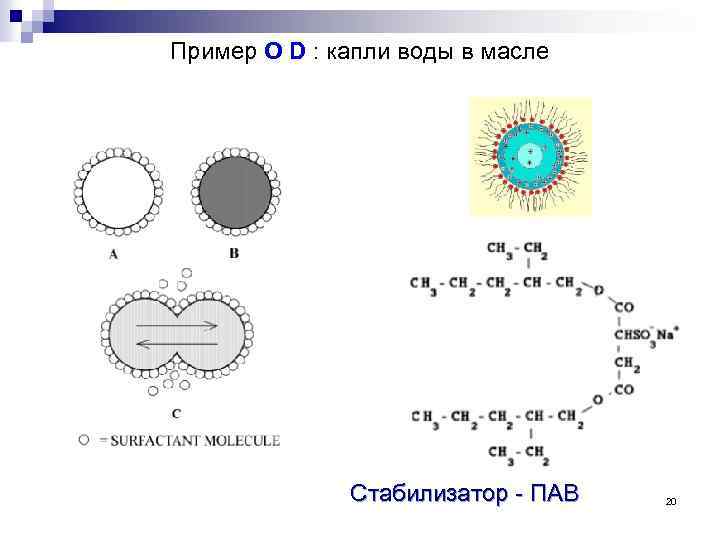 Пример O D : капли воды в масле Стабилизатор - ПАВ 20 