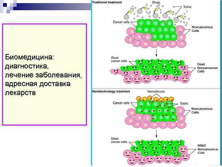 Биомедицина: диагностика, лечение заболевания, адресная доставка лекарств 