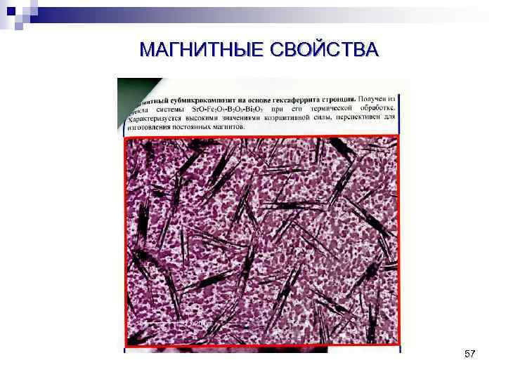 МАГНИТНЫЕ СВОЙСТВА 57 