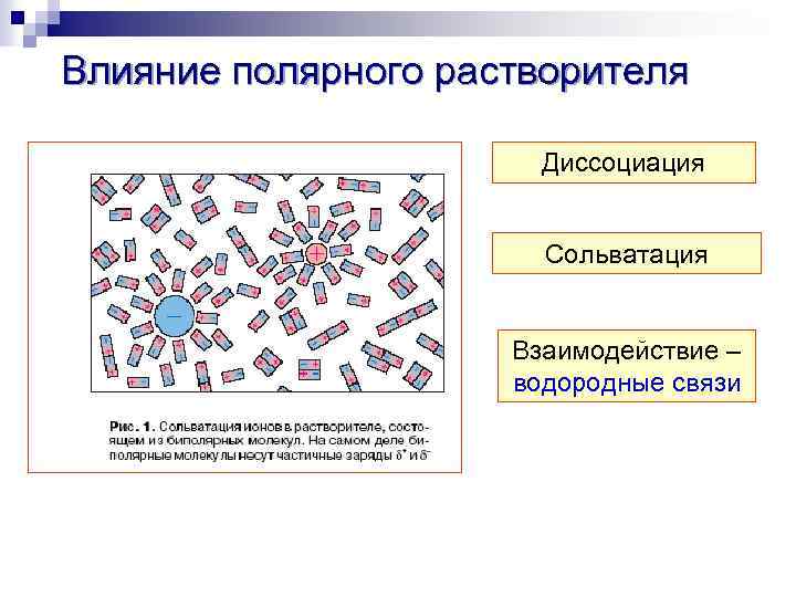 Влияние полярного растворителя Диссоциация Сольватация Взаимодействие – водородные связи 