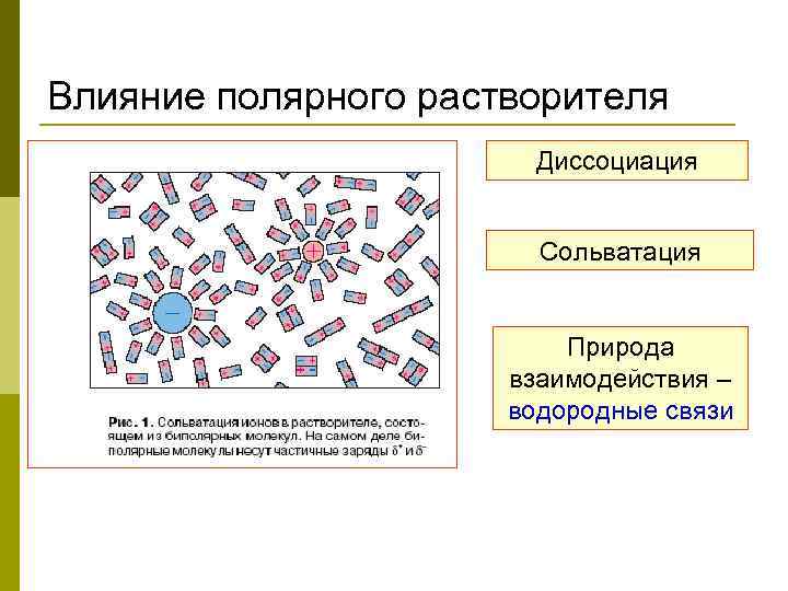 Влияние полярного растворителя Диссоциация Сольватация Природа взаимодействия – водородные связи 