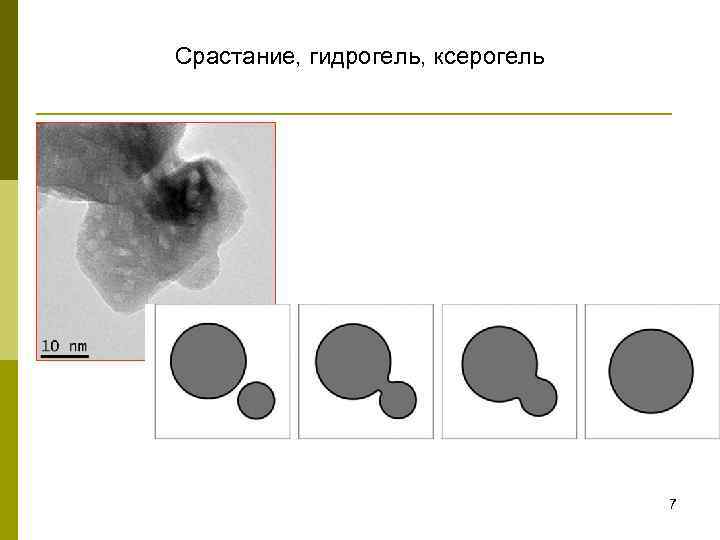  Срастание, гидрогель, ксерогель 7 