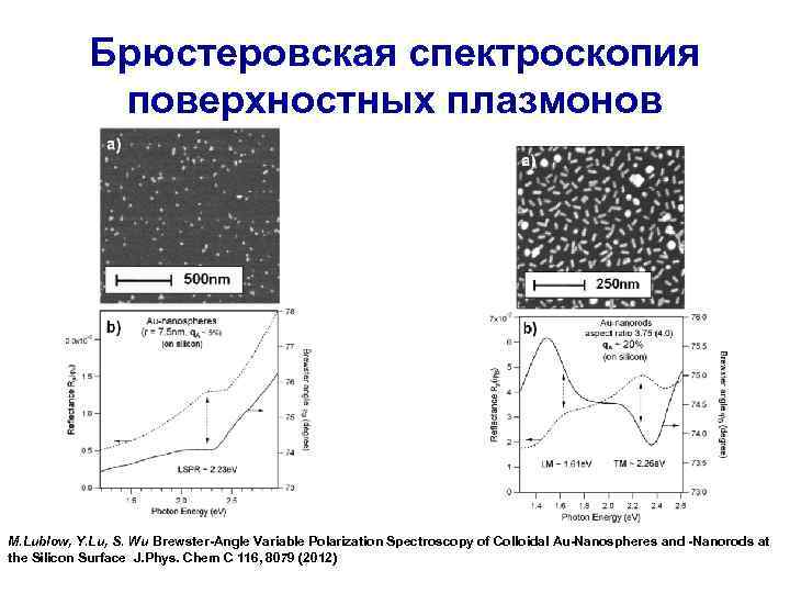 Брюстеровская спектроскопия поверхностных плазмонов M. Lublow, Y. Lu, S. Wu Brewster-Angle Variable Polarization Spectroscopy