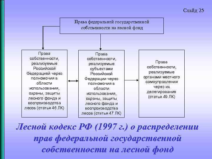 Слайд 25 Права федеральной государственной собственности на лесной фонд Права собственности, реализуемые Российской Федерацией