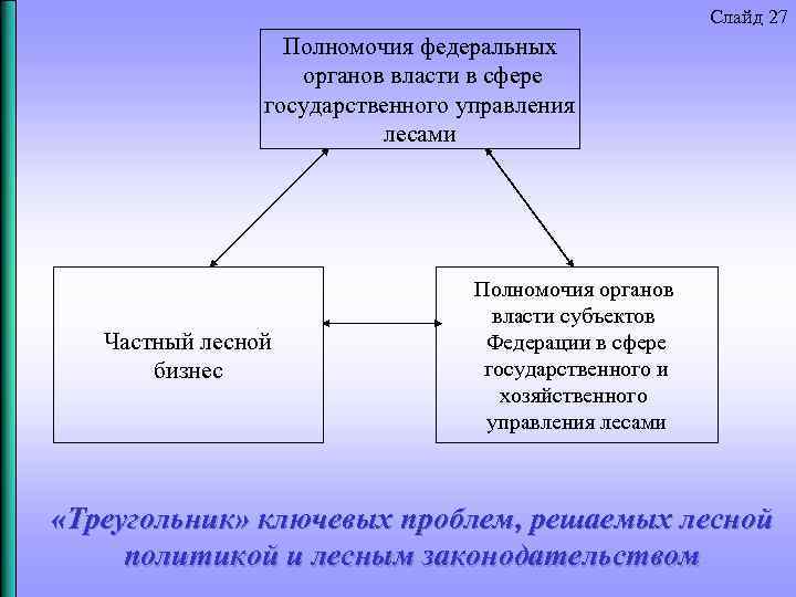 Слайд 27 Полномочия федеральных органов власти в сфере государственного управления лесами Частный лесной бизнес