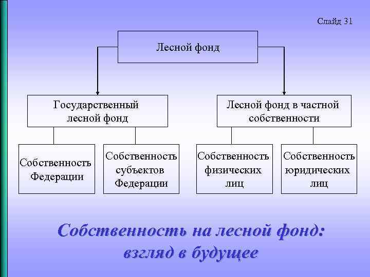 Слайд 31 Лесной фонд Государственный лесной фонд Собственность субъектов Федерации Лесной фонд в частной