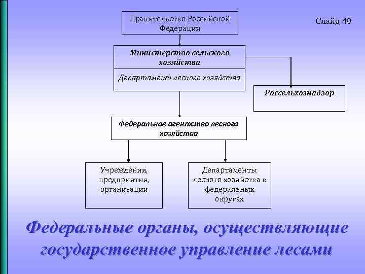 Правительство Российской Федерации Слайд 40 Министерство сельского хозяйства Департамент лесного хозяйства Россельхознадзор Федеральное агентство