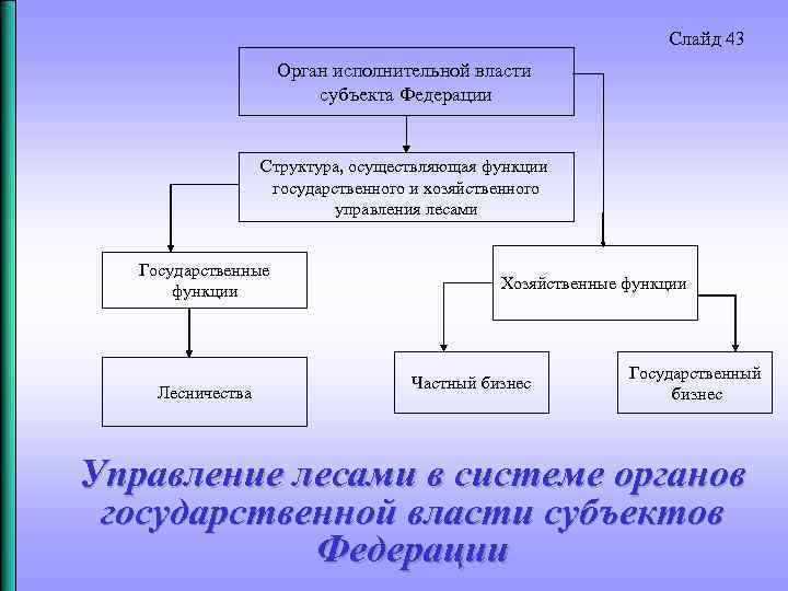 Слайд 43 Орган исполнительной власти субъекта Федерации Структура, осуществляющая функции государственного и хозяйственного управления