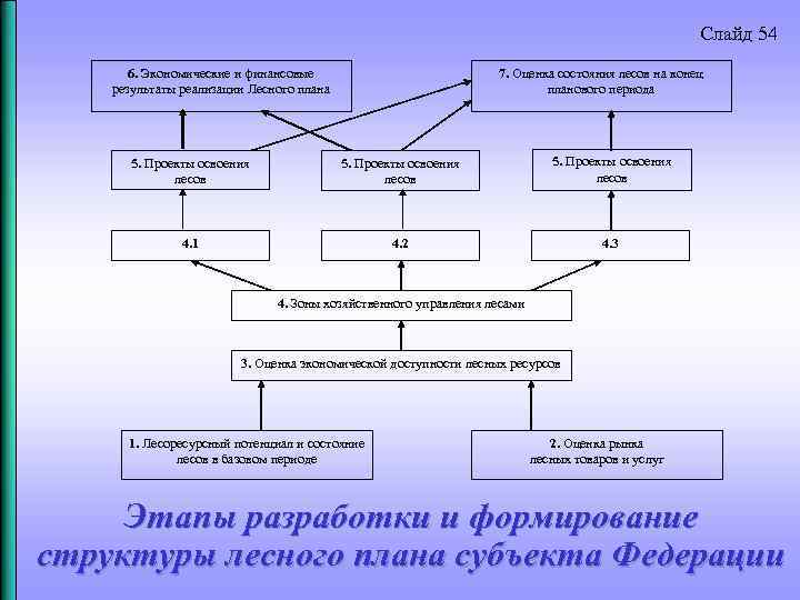 Слайд 54 6. Экономические и финансовые результаты реализации Лесного плана 7. Оценка состояния лесов