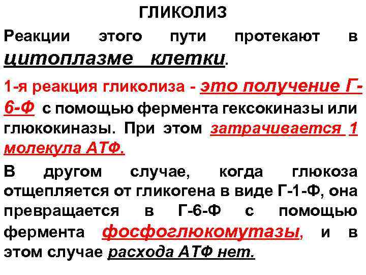 ГЛИКОЛИЗ Реакции этого пути протекают цитоплазме клетки. в 1 я реакция гликолиза это получение