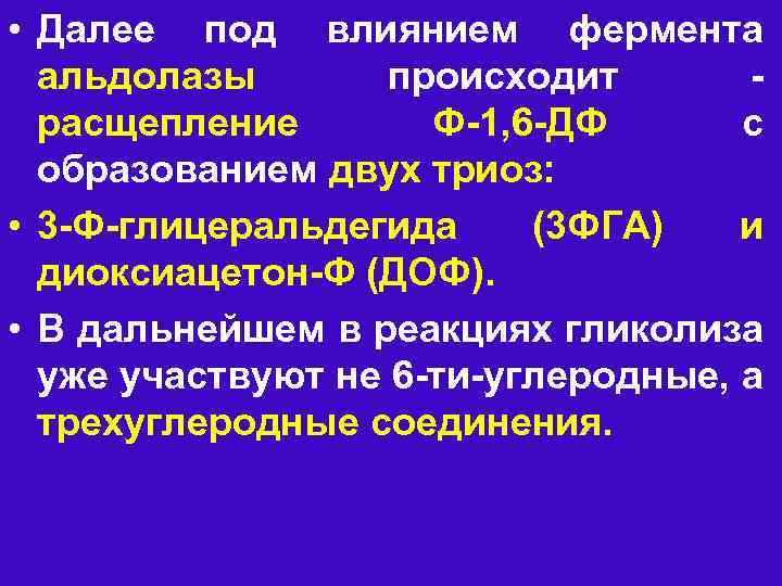  • Далее под влиянием фермента альдолазы происходит расщепление Ф 1, 6 ДФ с