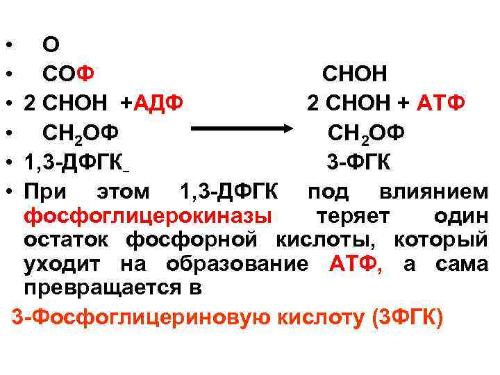  • О • СОФ СНОН • 2 СНОН +АДФ 2 СНОН + АТФ