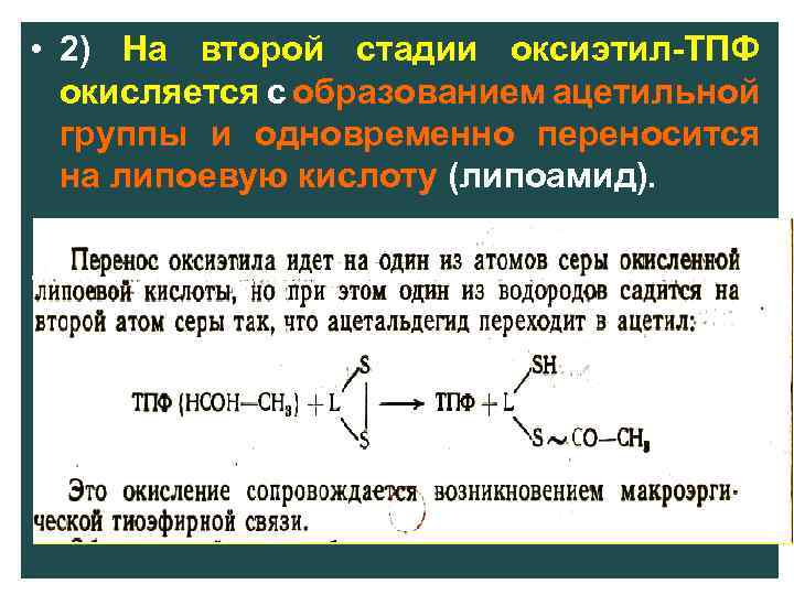  • 2) На второй стадии оксиэтил ТПФ окисляется с образованием ацетильной группы и