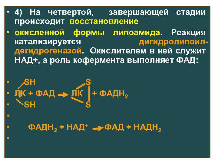  • 4) На четвертой, завершающей стадии происходит восстановление • окисленной формы липоамида. Реакция