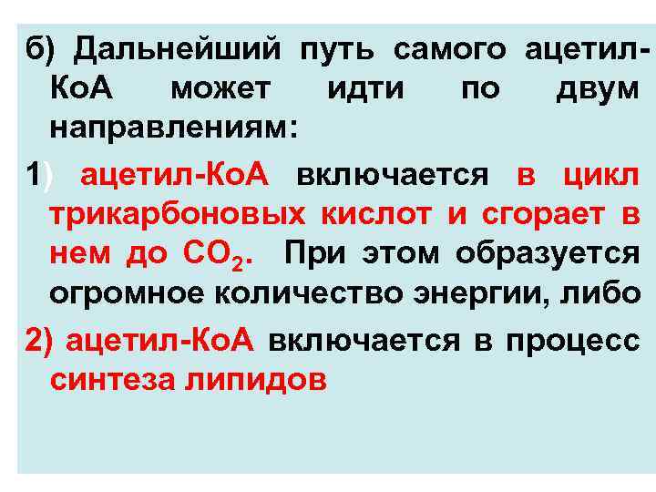 б) Дальнейший путь самого ацетил Ко. А может идти по двум направлениям: 1) ацетил