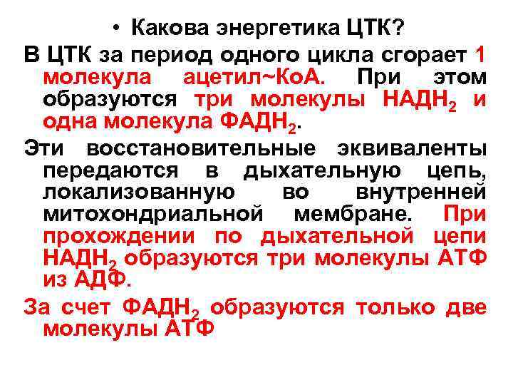  • Какова энергетика ЦТК? В ЦТК за период одного цикла сгорает 1 молекула