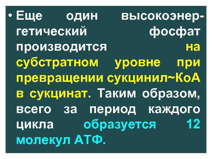  • Еще один высокоэнер гетический фосфат производится на субстратном уровне при превращении сукцинил~Ко.