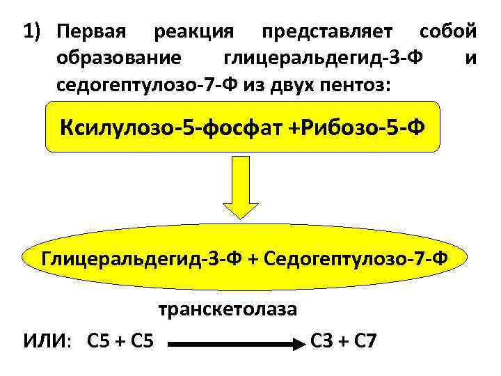 1) Первая реакция представляет собой образование глицеральдегид-3 -Ф и седогептулозо-7 -Ф из двух пентоз: