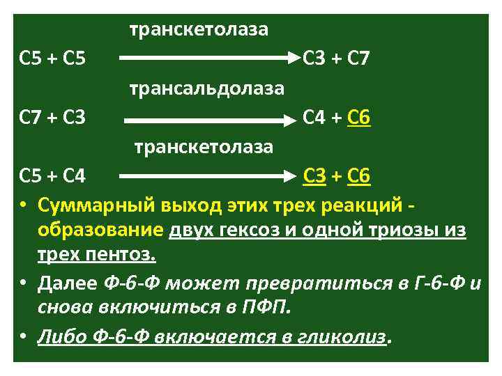 транскетолаза С 5 + С 5 С 3 + С 7 трансальдолаза С 7