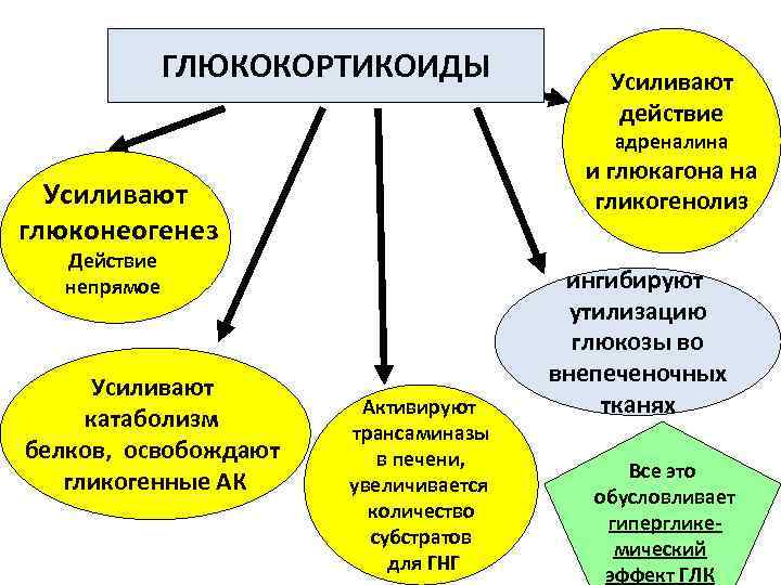 ГЛЮКОКОРТИКОИДЫ Усиливают действие адреналина и глюкагона на гликогенолиз Усиливают глюконеогенез Действие непрямое Усиливают катаболизм