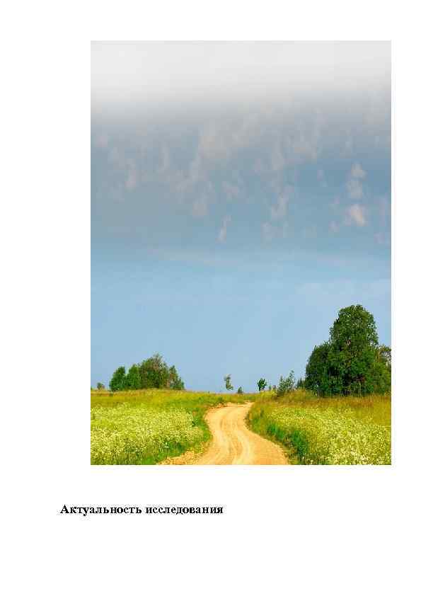 Актуальность исследования 