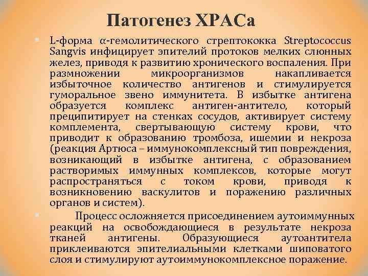 Патогенез ХРАСа § L форма α гемолитического стрептококка Streptococcus Sangvis инфицирует эпителий протоков мелких