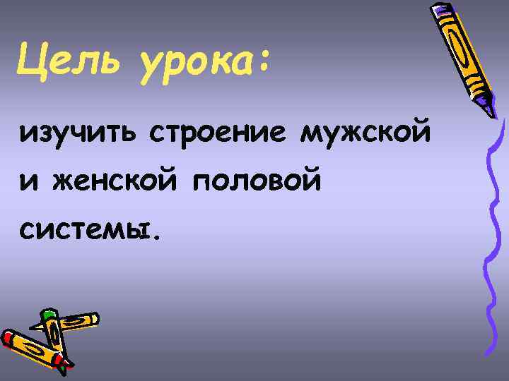 Цель урока: изучить строение мужской и женской половой системы. 