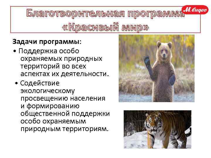 Благотворительная программа «Красивый мир» Задачи программы: • Поддержка особо охраняемых природных территорий во всех