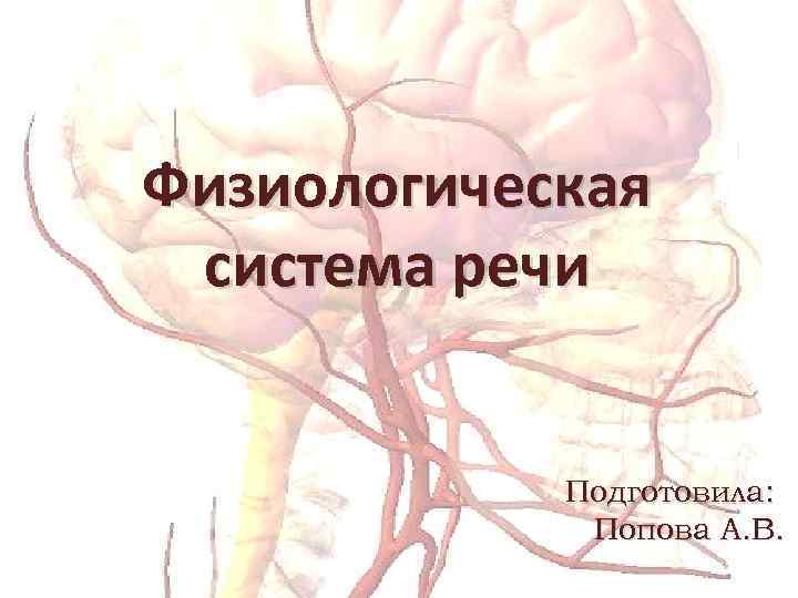 Физиологическая система речи Подготовила: Попова А. В. 