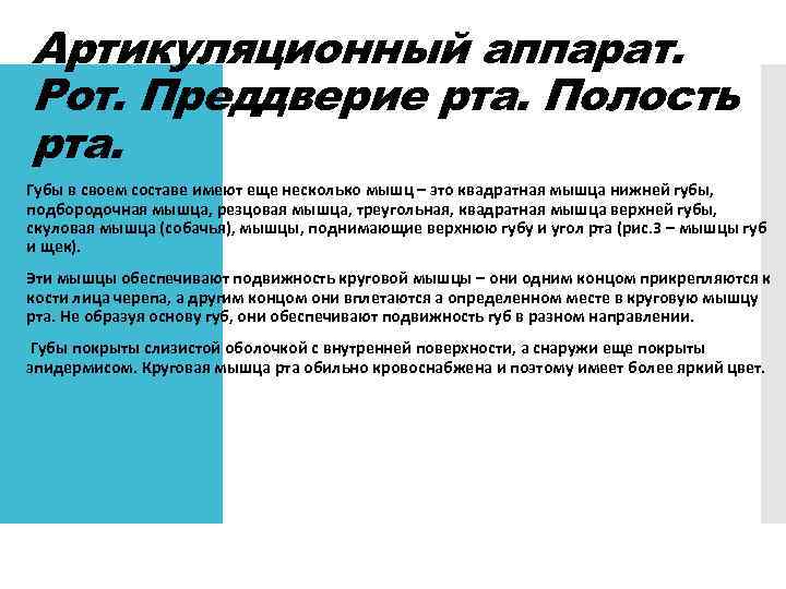 Артикуляционный аппарат. Рот. Преддверие рта. Полость рта. Губы в своем составе имеют еще несколько