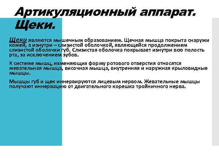 Артикуляционный аппарат. Щеки являются мышечным образованием. Щечная мышца покрыта снаружи кожей, а изнутри –