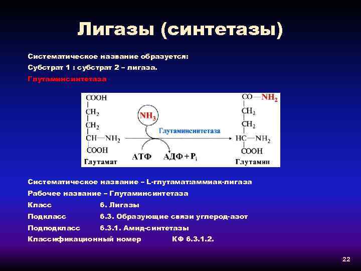 Лигазы это