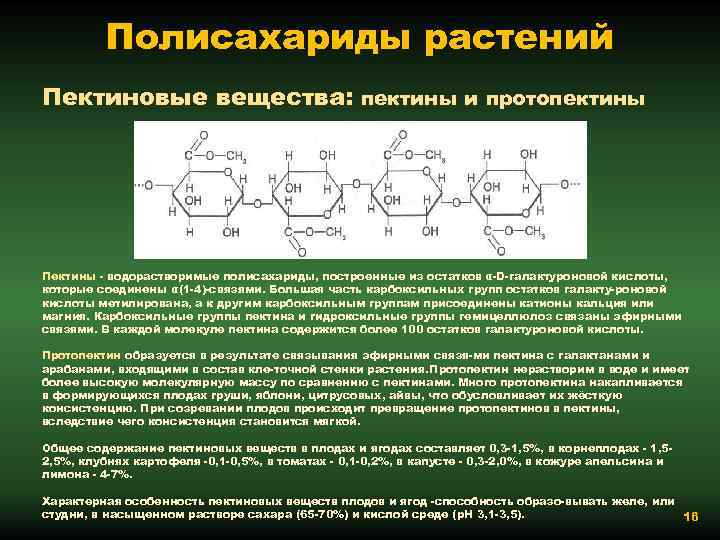 Полисахариды растений Пектиновые вещества: пектины и протопектины Пектины водорастворимые полисахариды, построенные из остатков α