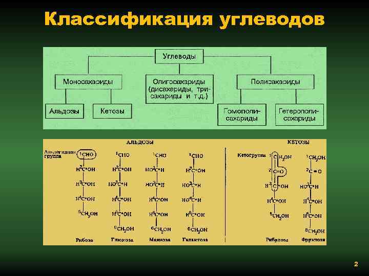 Классификация углеводов 2 