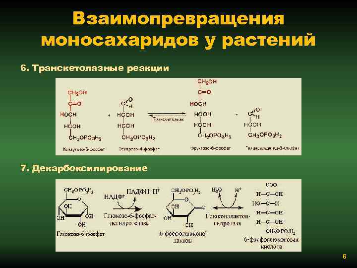 Взаимопревращения моносахаридов у растений 6. Транскетолазные реакции 7. Декарбоксилирование 6 