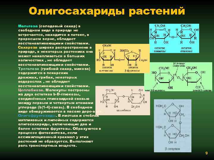 Олигосахариды растений Мальтоза (солодовый сахар) в свободном виде в природе не встречается, находится в