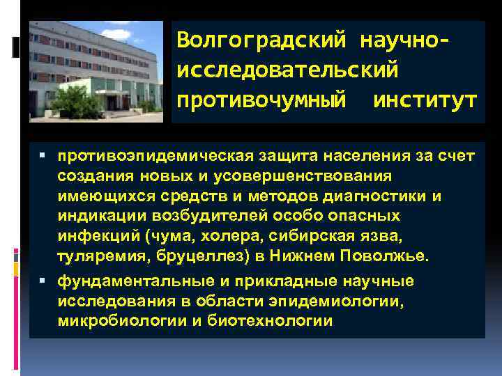 Волгоградский научноисследовательский противочумный институт противоэпидемическая защита населения за счет создания новых и усовершенствования имеющихся