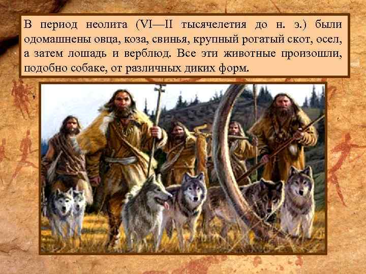 В период неолита (VI—II тысячелетия до н. э. ) были одомашнены овца, коза, свинья,