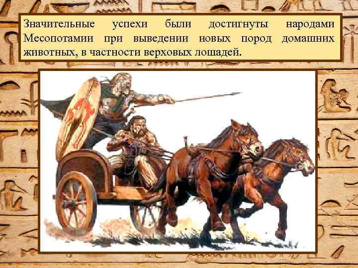 Значительные успехи были достигнуты народами Месопотамии при выведении новых пород домашних животных, в частности