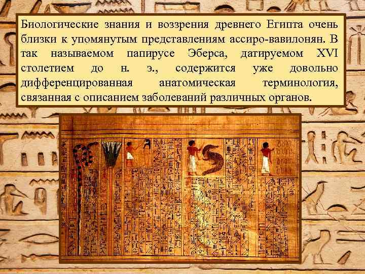 Биологические знания и воззрения древнего Египта очень близки к упомянутым представлениям ассиро-вавилонян. В так