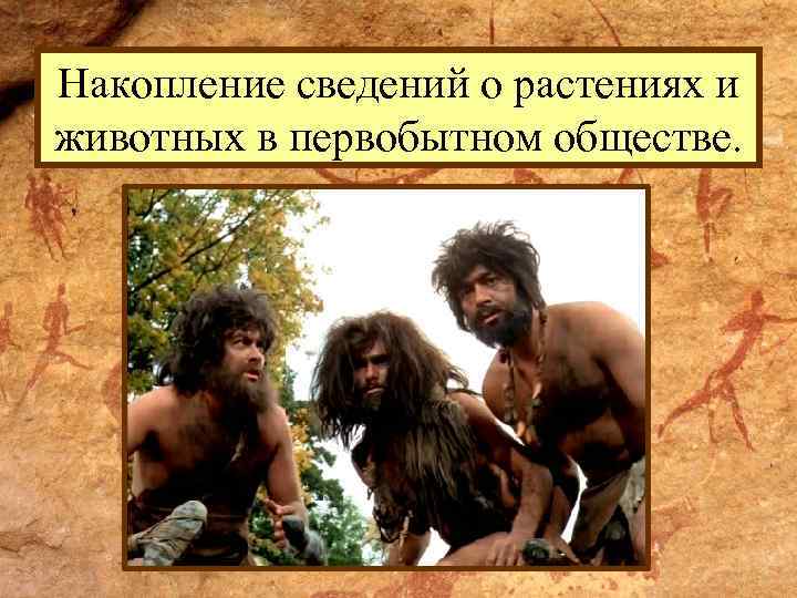 Накопление сведений о растениях и животных в первобытном обществе. 