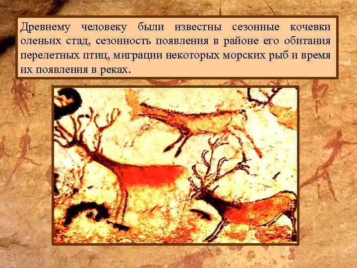 Древнему человеку были известны сезонные кочевки оленьих стад, сезонность появления в районе его обитания