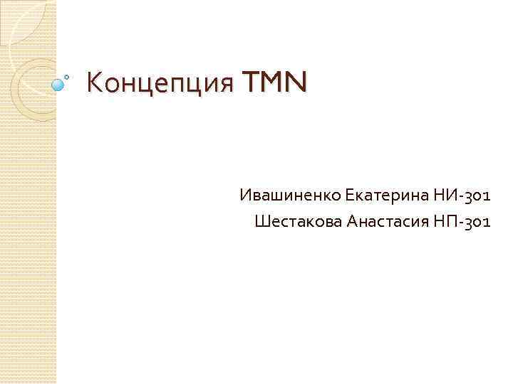 Концепция TMN Ивашиненко Екатерина НИ-301 Шестакова Анастасия НП-301 