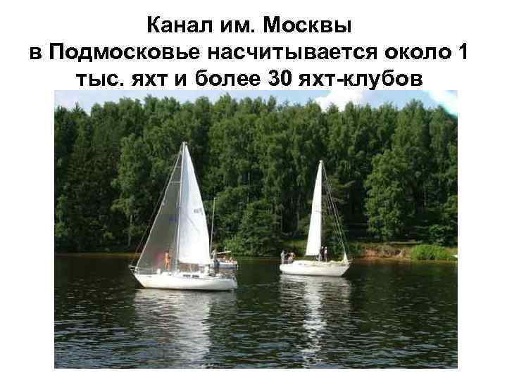Канал им. Москвы в Подмосковье насчитывается около 1 тыс. яхт и более 30 яхт-клубов