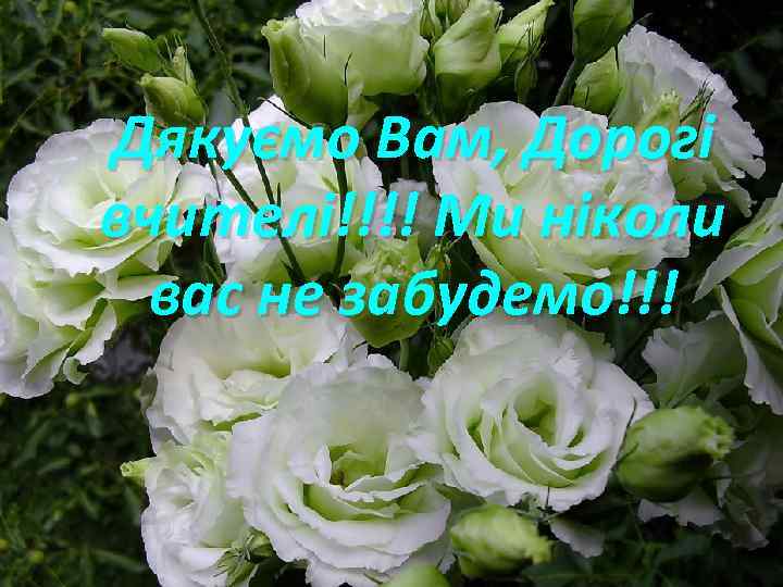 Дякуємо Вам, Дорогі вчителі!!!! Ми ніколи вас не забудемо!!! 