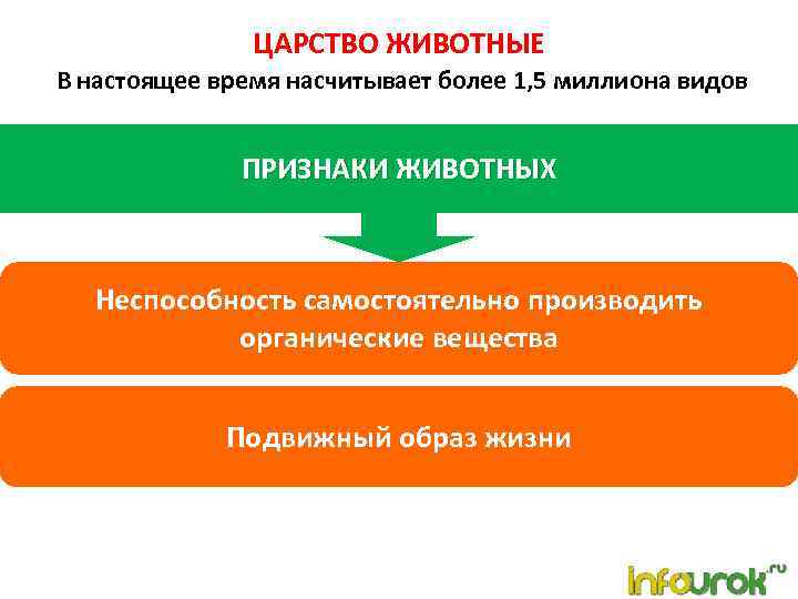 ЦАРСТВО ЖИВОТНЫЕ В настоящее время насчитывает более 1, 5 миллиона видов ПРИЗНАКИ ЖИВОТНЫХ Неспособность