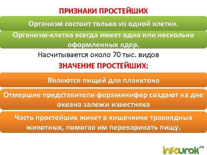 ПРИЗНАКИ ПРОСТЕЙШИХ Организм состоит только из одной клетки. Организм-клетка всегда имеет одно или несколько