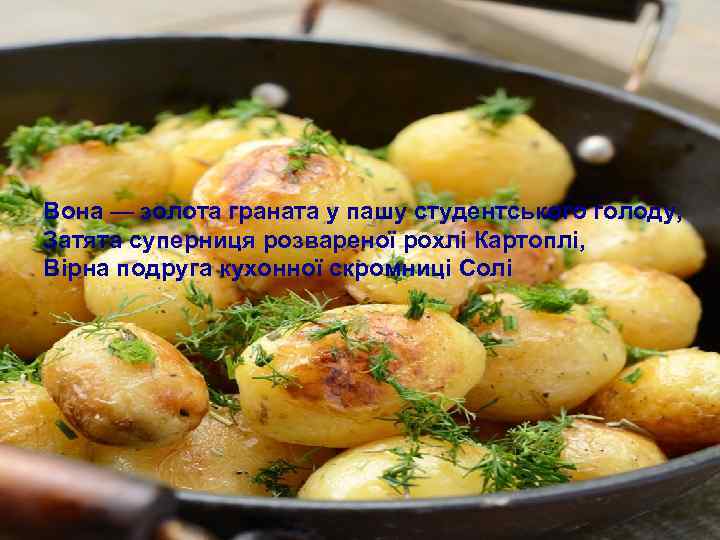 Вона — золота граната у пашу студентського голоду, Затята суперниця розвареної рохлі Картоплі, Вірна