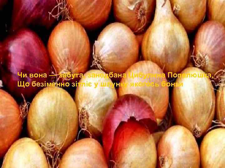 Чи вона — забута, занедбана Цибулина Попелюшка, Що безіменно зітліє у шлунку якогось бонзи