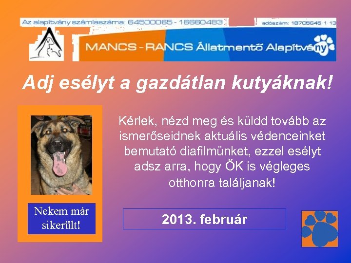  Adj esélyt a gazdátlan kutyáknak! Kérlek, nézd meg és küldd tovább az ismerőseidnek